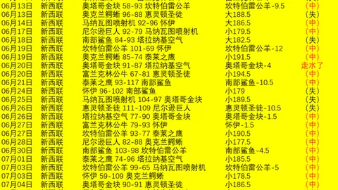 真人 065201 3